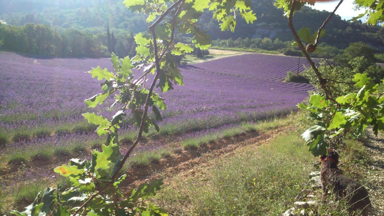 Les Vallons Holiday Home Lioux Dış mekan fotoğraf